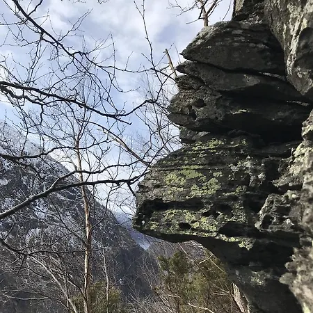 Akrafjorden Nature As * Fjæra