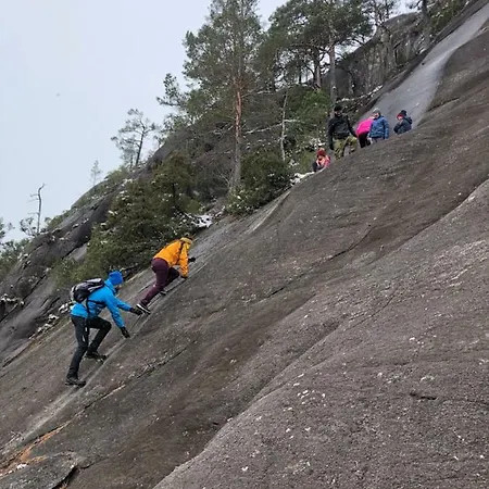 Akrafjorden Nature As Couette-café Fjæra