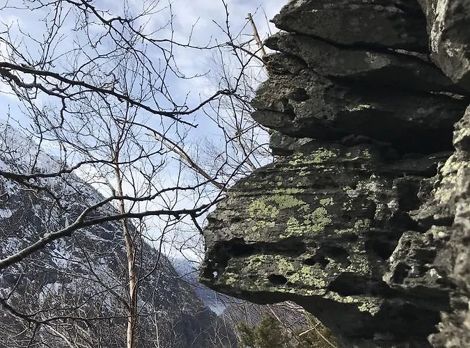 Akrafjorden Nature As * Fjæra